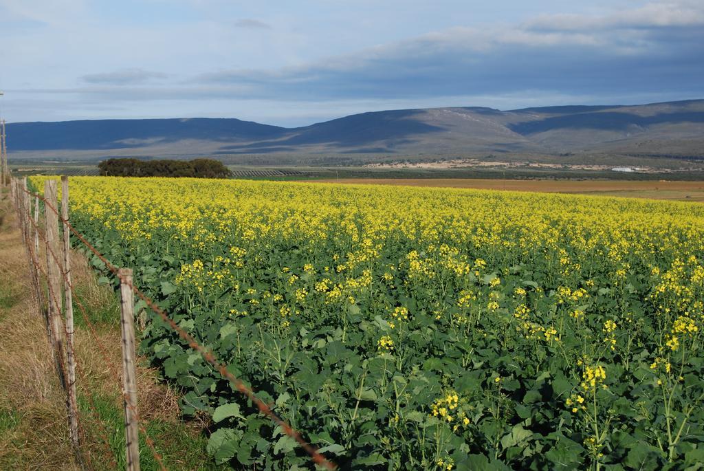 Slangrivier Anna'S Farm Stay מראה חיצוני תמונה